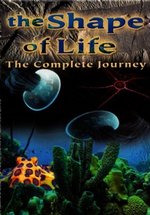 Форма жизни. История царства животных — The Shape of Life. The Story of the Animal Kingdom (2010)