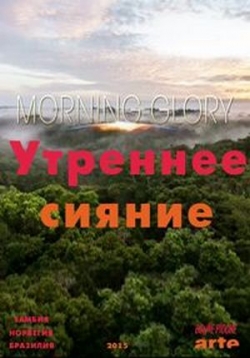 Утреннее сияние — Morning Glory (2015)