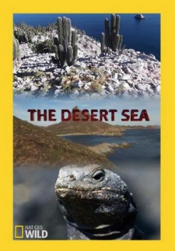 Пустынное море — The Desert Sea (2016)