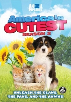 Самые милые питомцы Америки — America’s Cutest (2010-2013)