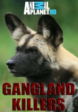 Гангстеры дикой природы — Gangland Killers (2014)