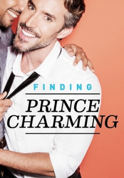 В поисках прекрасного принца — Finding Prince Charming (2016)