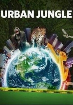 Городские джунгли — Urban Jungle (2014)