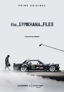 Архивы Джимханы — The Gymkhana Files (2018)
