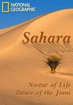 Сахара — Sahara (2007)