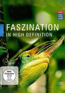 Очарование в HD — Faszination in High Definition (2010)